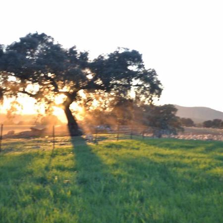 Finca El Vizconde Naturaleza Con Tus Hijos Arquillos Bagian luar foto