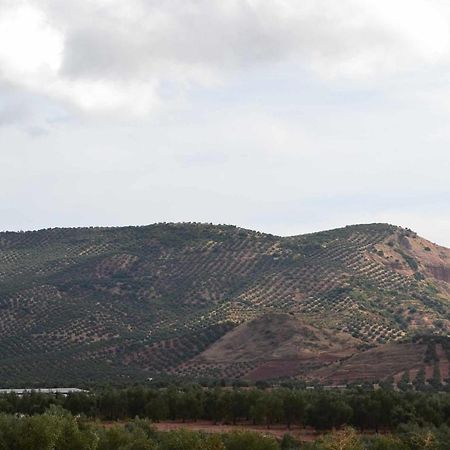 Finca El Vizconde Naturaleza Con Tus Hijos Arquillos Bagian luar foto