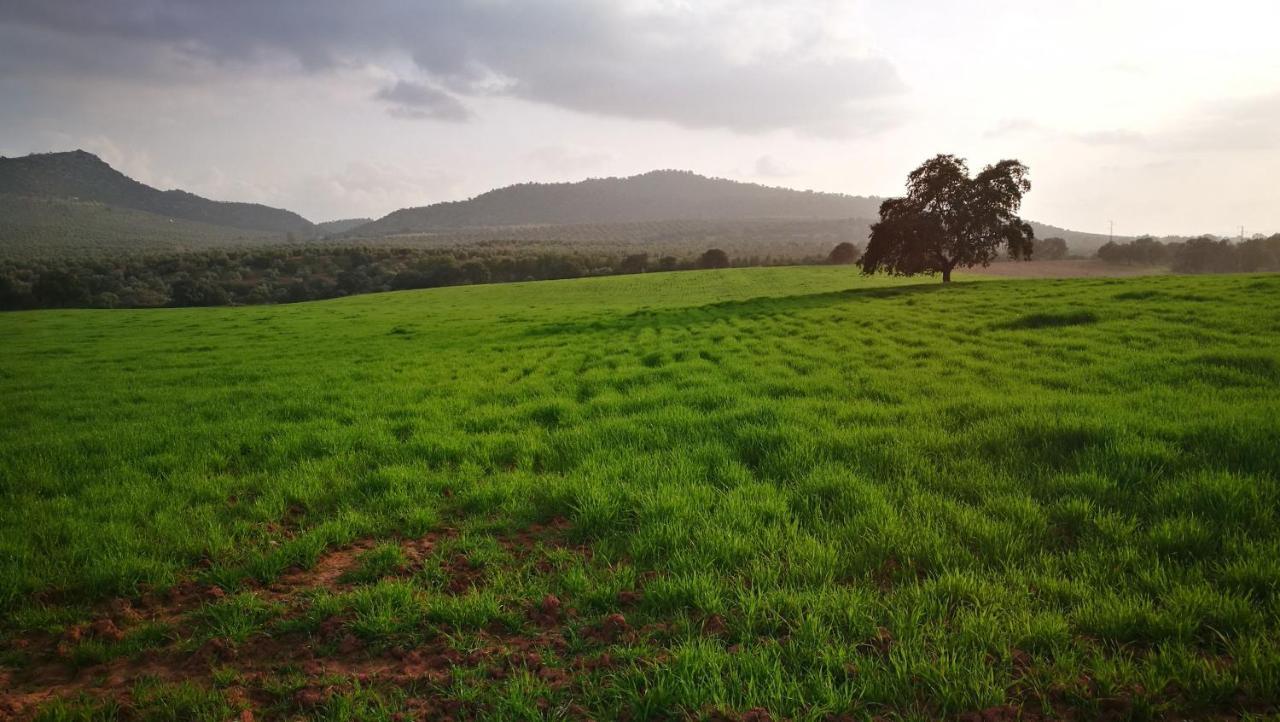 Finca El Vizconde Naturaleza Con Tus Hijos Arquillos Bagian luar foto