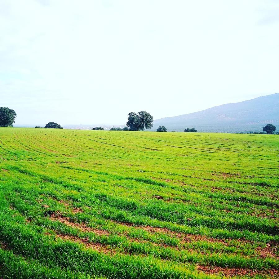 Finca El Vizconde Naturaleza Con Tus Hijos Arquillos Bagian luar foto
