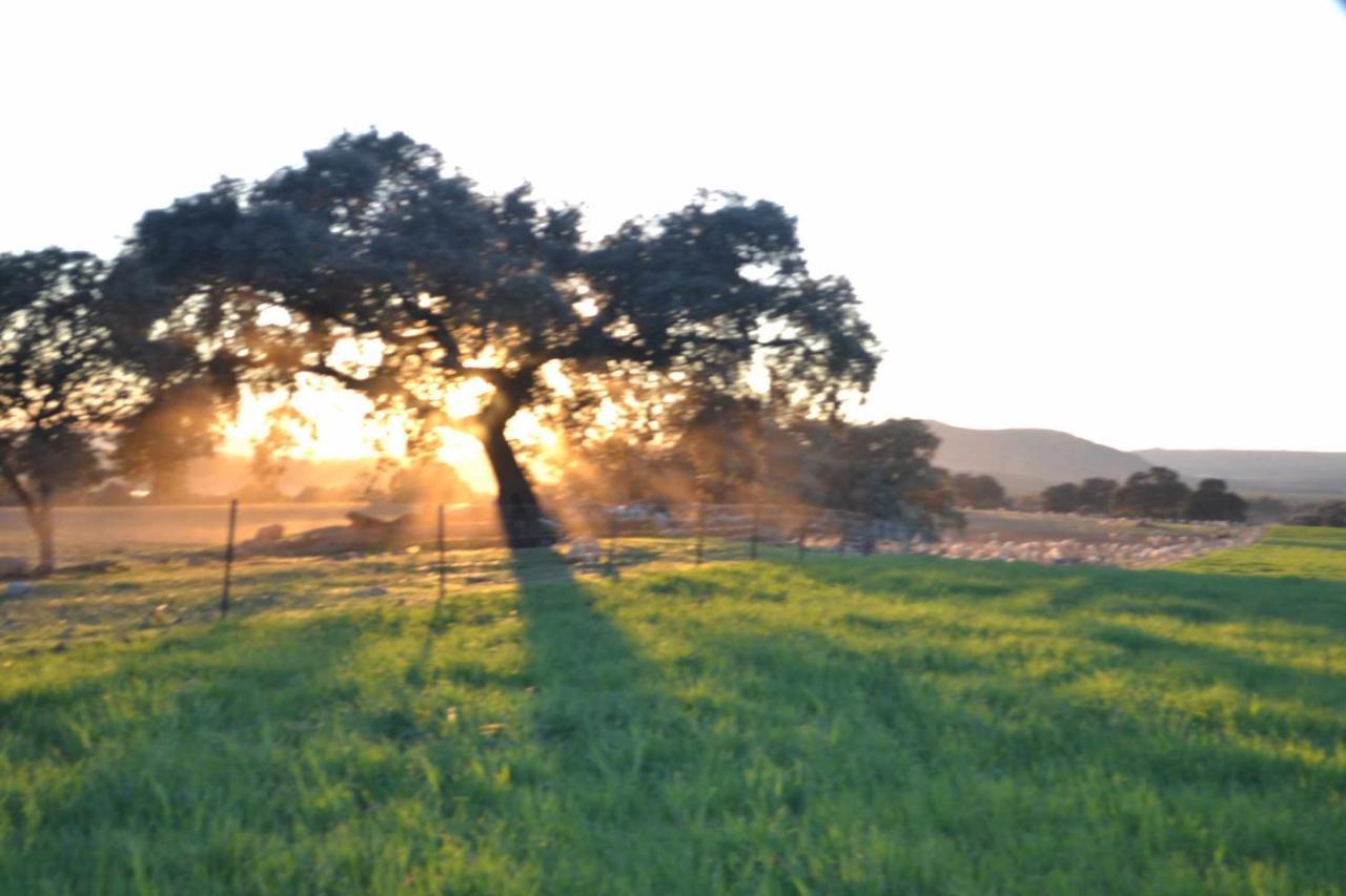 Finca El Vizconde Naturaleza Con Tus Hijos Arquillos Bagian luar foto