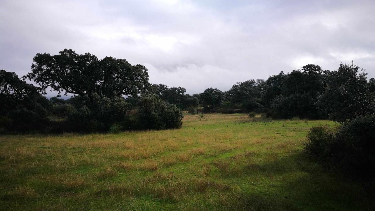 Finca El Vizconde Naturaleza Con Tus Hijos Arquillos Bagian luar foto