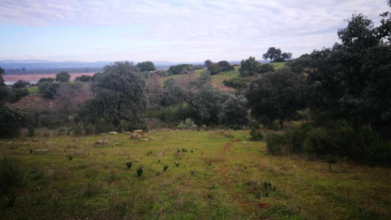 Finca El Vizconde Naturaleza Con Tus Hijos Arquillos Bagian luar foto