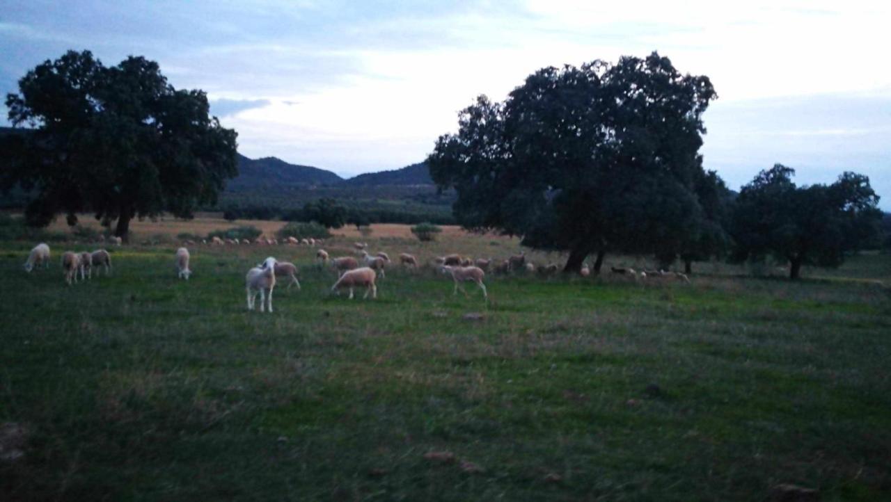 Finca El Vizconde Naturaleza Con Tus Hijos Arquillos Bagian luar foto