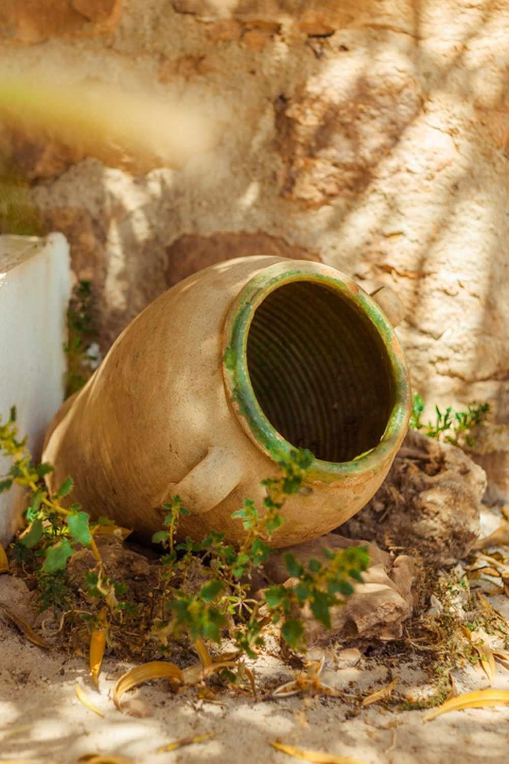 Finca El Vizconde Naturaleza Con Tus Hijos Arquillos Bagian luar foto